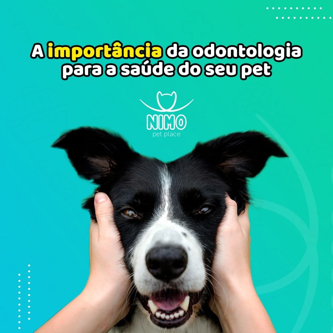 Quer dar um momento especial para o seu bichinho? Traga-o para ter uma  sessão de cuidados no Klã Dog! Aqui o seu pet p…